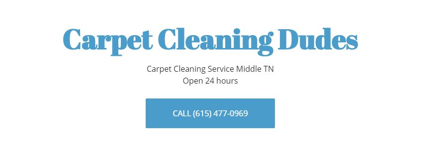 Best Options for Carpet Cleaners in Nashville - Carpet Cleaning Dudes