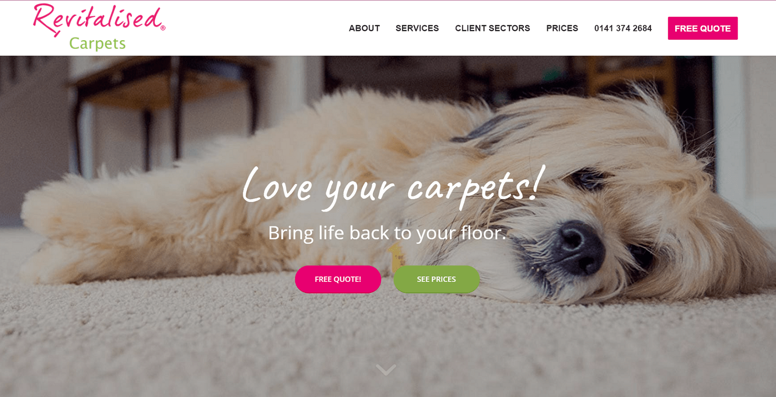 Revitalised® Carpets' Homepage