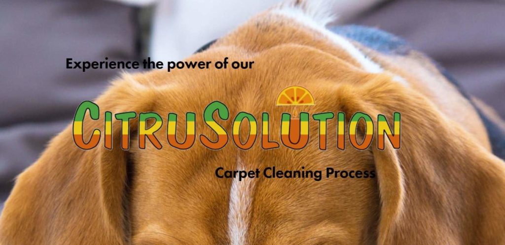 CitruSolution's Homepage