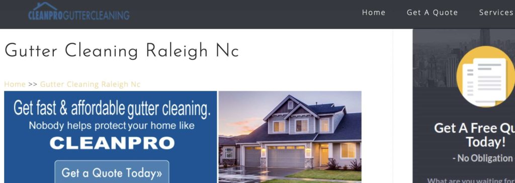 CleanPro Gutter Cleaning's Homepage