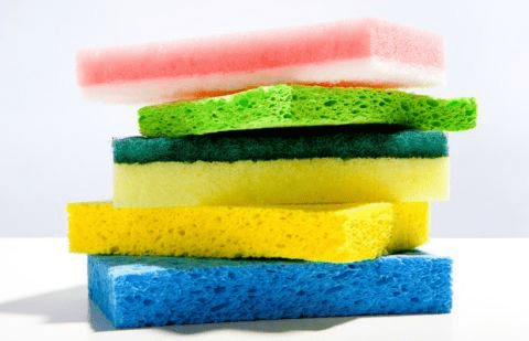 13) Sponges