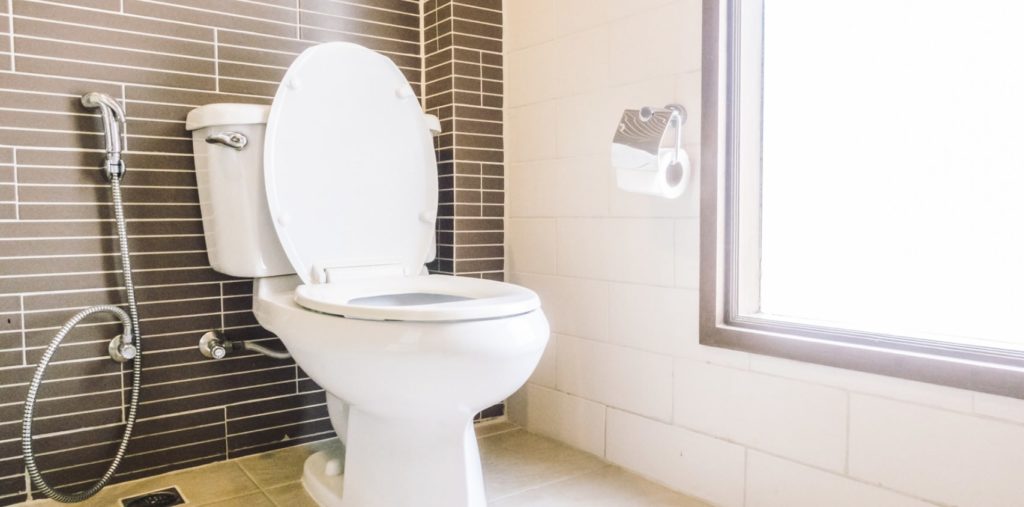 What are the things I should avoid when cleaning my toilet