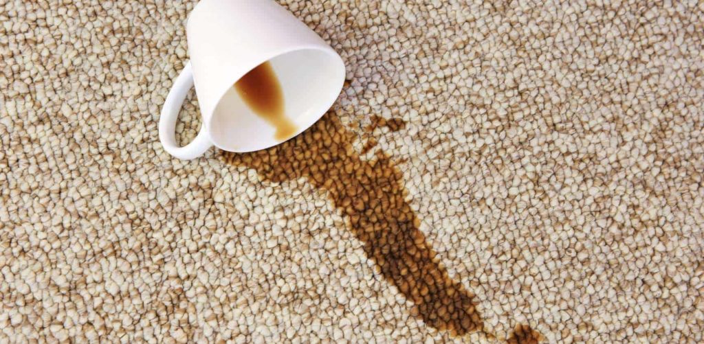 Should I treat a coffee stain on the carpet immediately