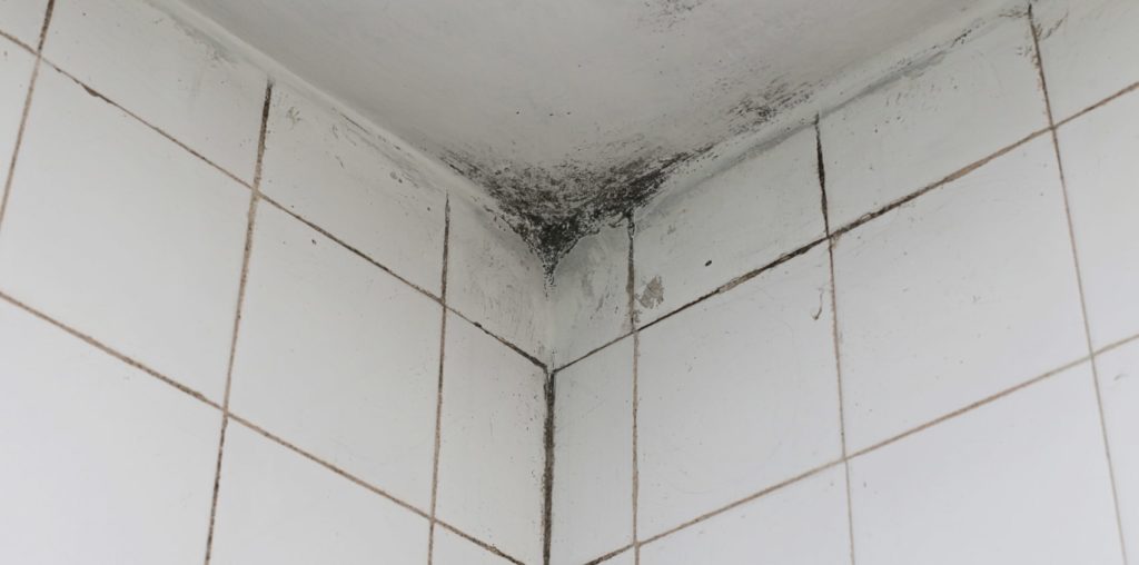 Why does shower caulking get black mold